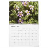 Sinai Desert Flowers Kalender (Feb 2027)