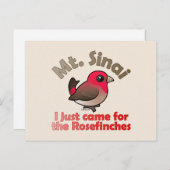 Sinai Rosefinches Briefkaart (Voorkant / Achterkant)