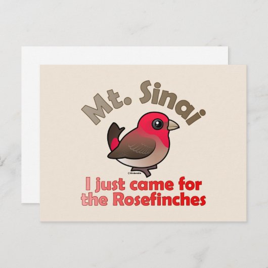 Sinai Rosefinches Briefkaart (Voorkant / Achterkant)