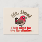 Sinai Rosefinches Briefkaart (Voorkant)