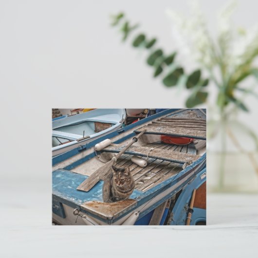 Sinbad het Briefkaart van de Sailor Cat (Staand voorkant)