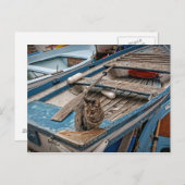 Sinbad het Briefkaart van de Sailor Cat (Voorkant / Achterkant)