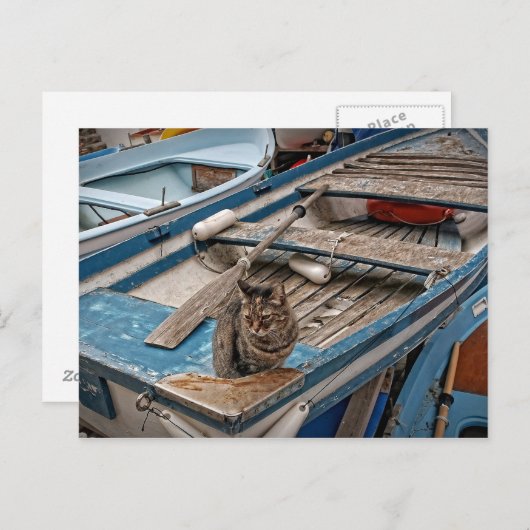 Sinbad het Briefkaart van de Sailor Cat (Voorkant / Achterkant)