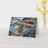 Sinbad the Sailor Cat - Wenskaart Kaart (Gele Bloem)