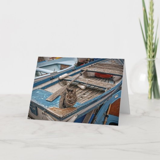 Sinbad the Sailor Cat - Wenskaart Kaart (Voorkant)