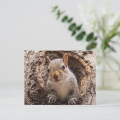 Sincap Briefkaart (Staand voorkant)