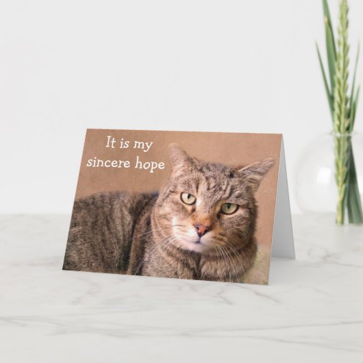 Sincere Cat wordt goed Kaart (Voorkant)