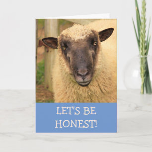 Sincere Honest Sheep komt goed Kaart