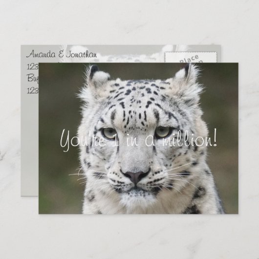 Sincere Snow Leopard Dank u Briefkaart (Voorkant / Achterkant)