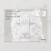 Sincere Snow Leopard Dank u Briefkaart (Achterkant)