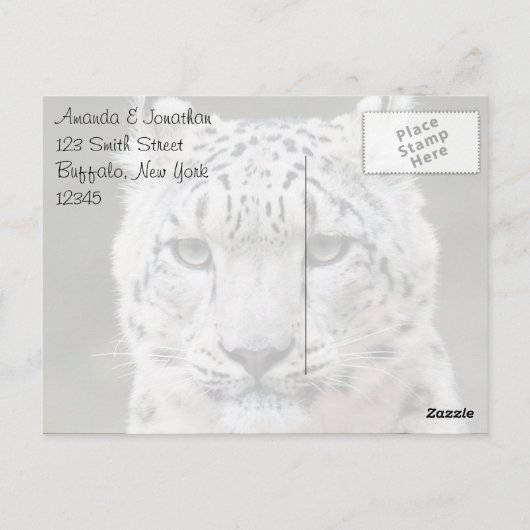 Sincere Snow Leopard Dank u Briefkaart (Achterkant)