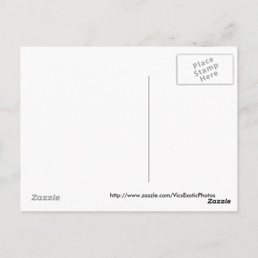 Sincerest condoléances Post Card Briefkaart (Achterkant)