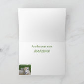 Sind Thoughtful Sheep Birthday Kaart (Binnen)