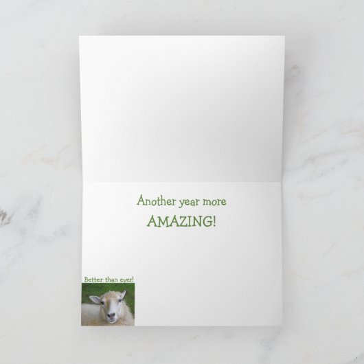 Sind Thoughtful Sheep Birthday Kaart (Binnen)