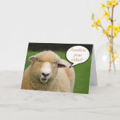 Sind Thoughtful Sheep Birthday Kaart (Gele Bloem)
