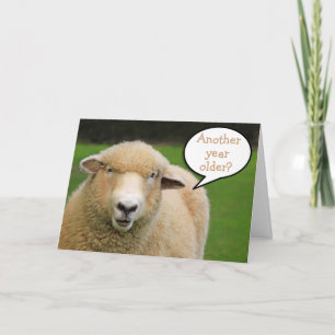 Sind Thoughtful Sheep Birthday Kaart