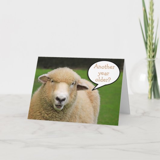 Sind Thoughtful Sheep Birthday Kaart (Voorkant)