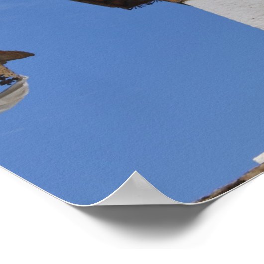 Sindokha Dzong, Dochu La Pass Poster (Hoek)