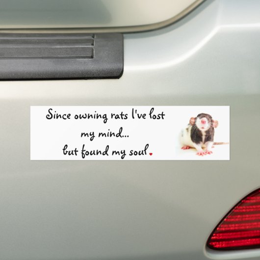 Sinds de eigenaar van ratten... bumpersticker (Op auto)