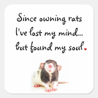 Sinds de eigenaar van ratten... vierkante sticker
