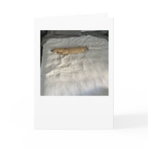 Sinds je weg bent MillieGram