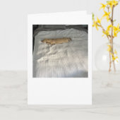 Sinds je weg bent MillieGram Kaart (Gele Bloem)