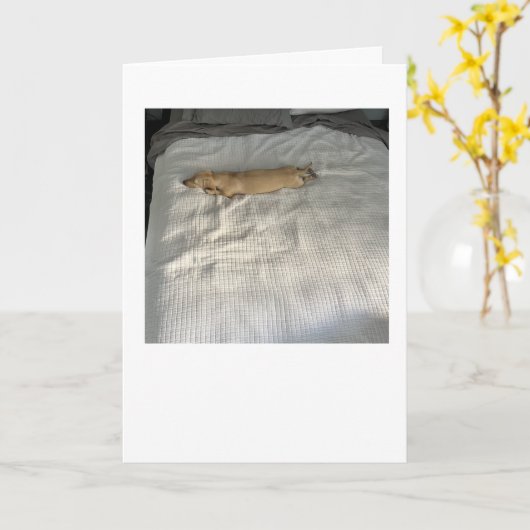 Sinds je weg bent MillieGram Kaart (Gele Bloem)