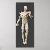 Sinestro Alternate Poster (Voorkant)