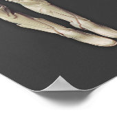 Sinestro Alternate Poster (Hoek)