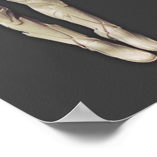 Sinestro Alternate Poster (Hoek)