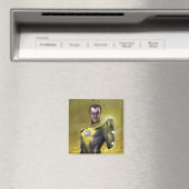 Sinestro Magneet (Insitu (Vaatwasser))