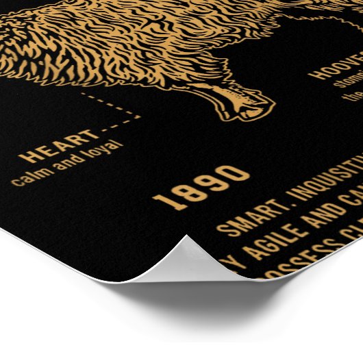 Sing Second The Goat (on Back)  Poster (Hoek)