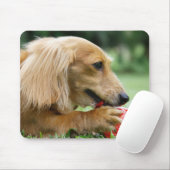 Singapore 10 muismat (Met muis)