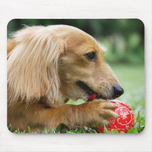 Singapore 10 muismat (Voorkant)