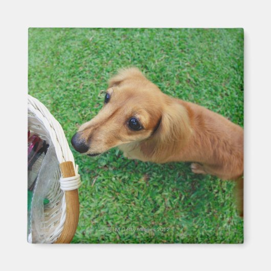 Singapore 2 magneet (Voorkant)