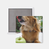 Singapore 5 magneet (Voorkant / Achterkant)