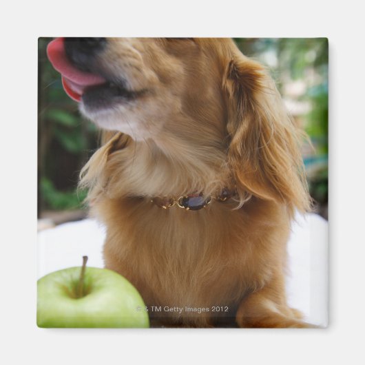 Singapore 5 magneet (Voorkant)