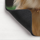 Singapore 5 muismat (Hoek)