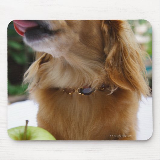 Singapore 5 muismat (Voorkant)