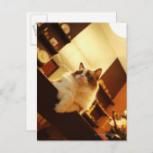 Singapore 6 briefkaart (Voorkant / Achterkant)