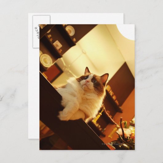 Singapore 6 briefkaart (Voorkant / Achterkant)