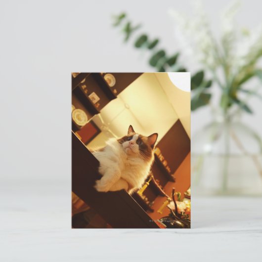 Singapore 6 briefkaart (Staand voorkant)