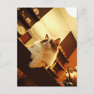 Singapore 6 briefkaart