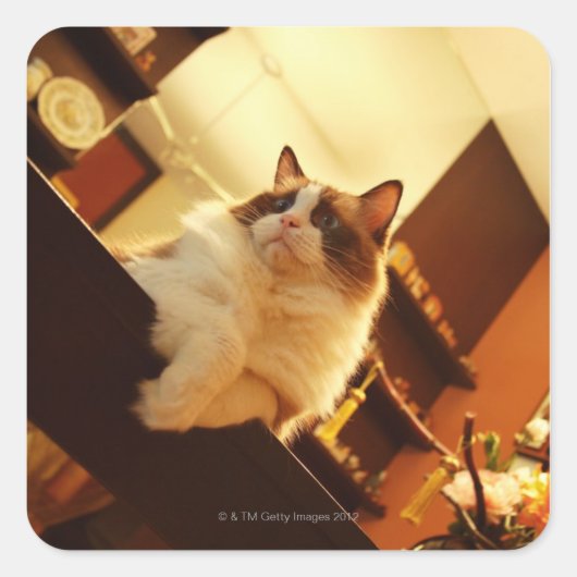 Singapore 6 vierkante sticker (Voorkant)