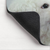 Singapore 9 muismat (Hoek)