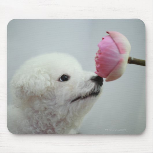 Singapore 9 muismat (Voorkant)