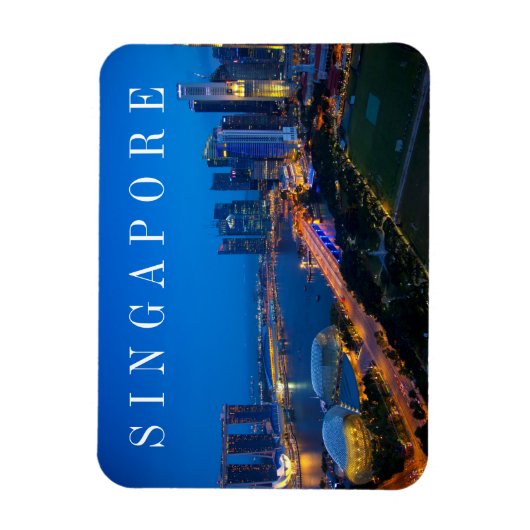 Singapore binnenstad bij nacht magneet (Verticaal)