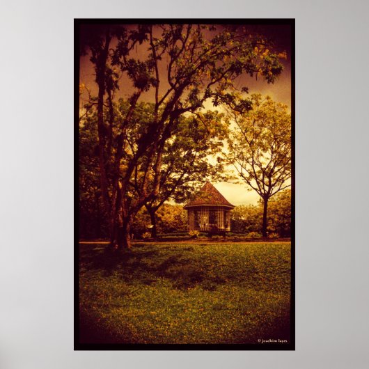 Singapore Botanische tuin Poster (Voorkant)