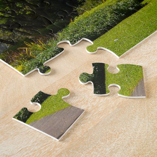 Singapore Botanische tuinen. Legpuzzel (Zijkant)