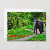 Singapore Briefkaart (Voorkant / Achterkant)